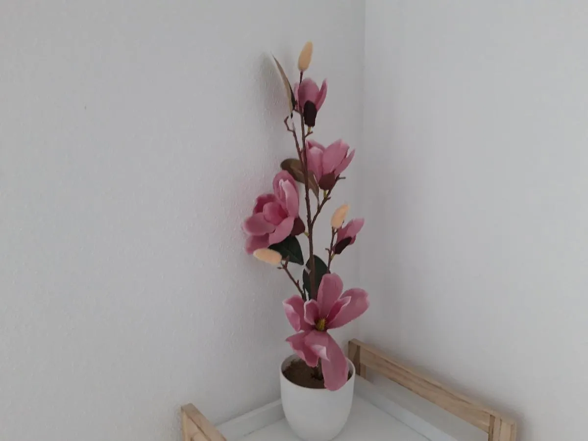 Mediterraneo Lux Apartment Aguadulce